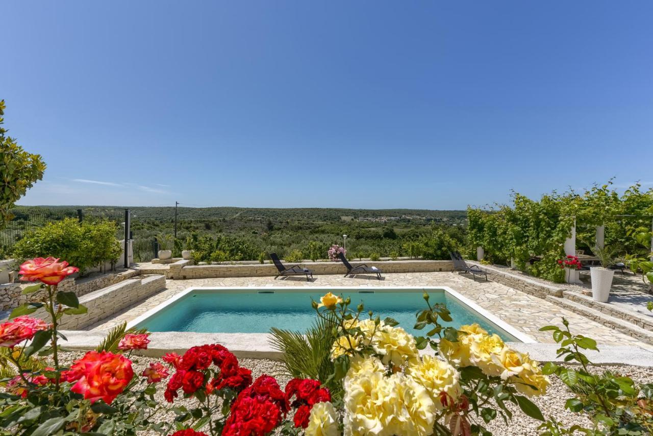 Haus Lilli Mit Pool Apartment Razanac Bagian luar foto